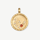 CHARM ZODIACO