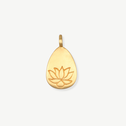 CHARM LOTO FLORECIDO